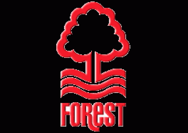 aFunnyOldGame.tk - Famous Fans - Nottingham Forest FC